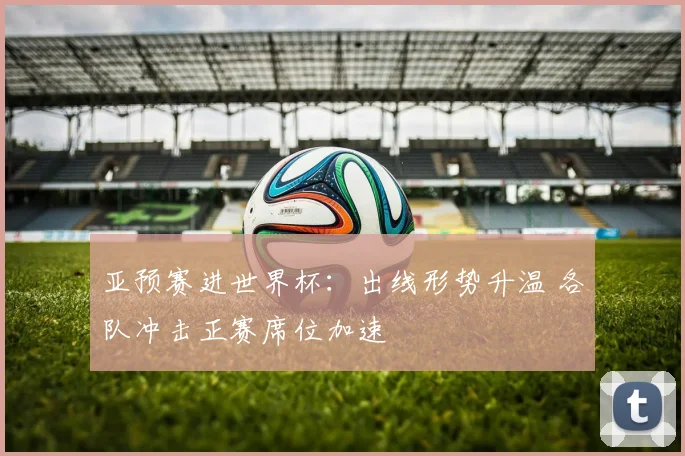 亚预赛进世界杯：出线形势升温 各队冲击正赛席位加速