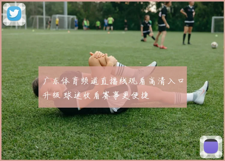 广东体育频道直播线观看高清入口升级 球迷收看赛事更便捷