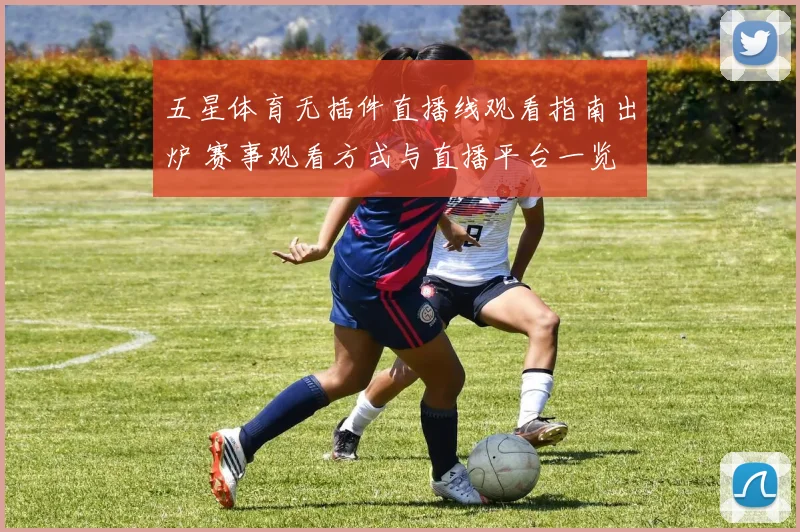 五星体育无插件直播线观看指南出炉 赛事观看方式与直播平台一览